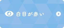 白目が赤い